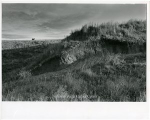 Image description is not available for PHO-4-W689-260